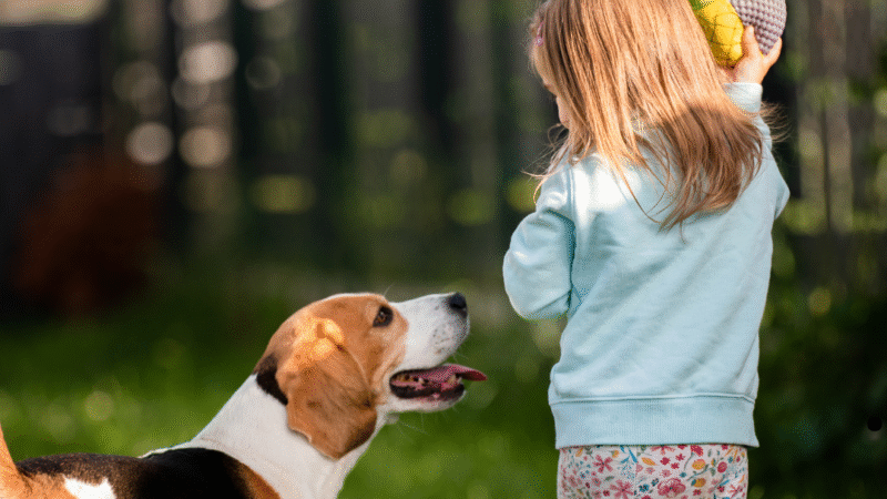 Cães e crianças: como garantir uma convivência segura e amorosa. Mais 5 benefícios