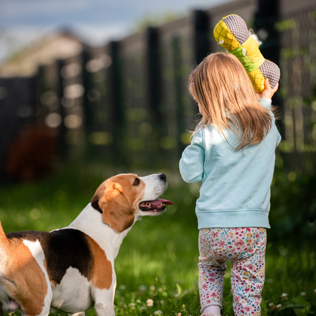 Cães e crianças: como garantir uma convivência segura e amorosa. Mais 5 benefícios