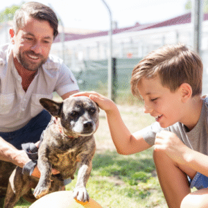 cães-e-crianças