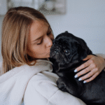 carinho-cachorro