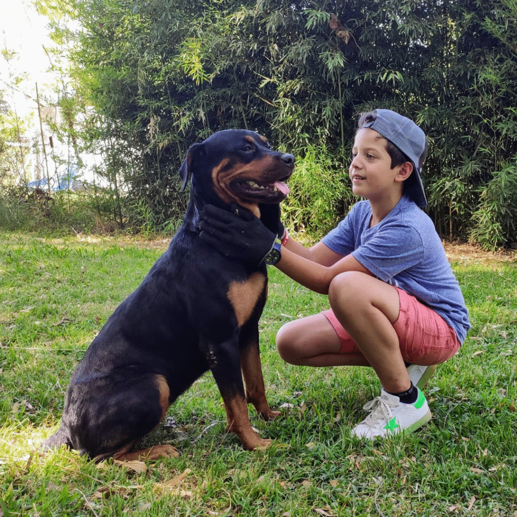 Rottwailer