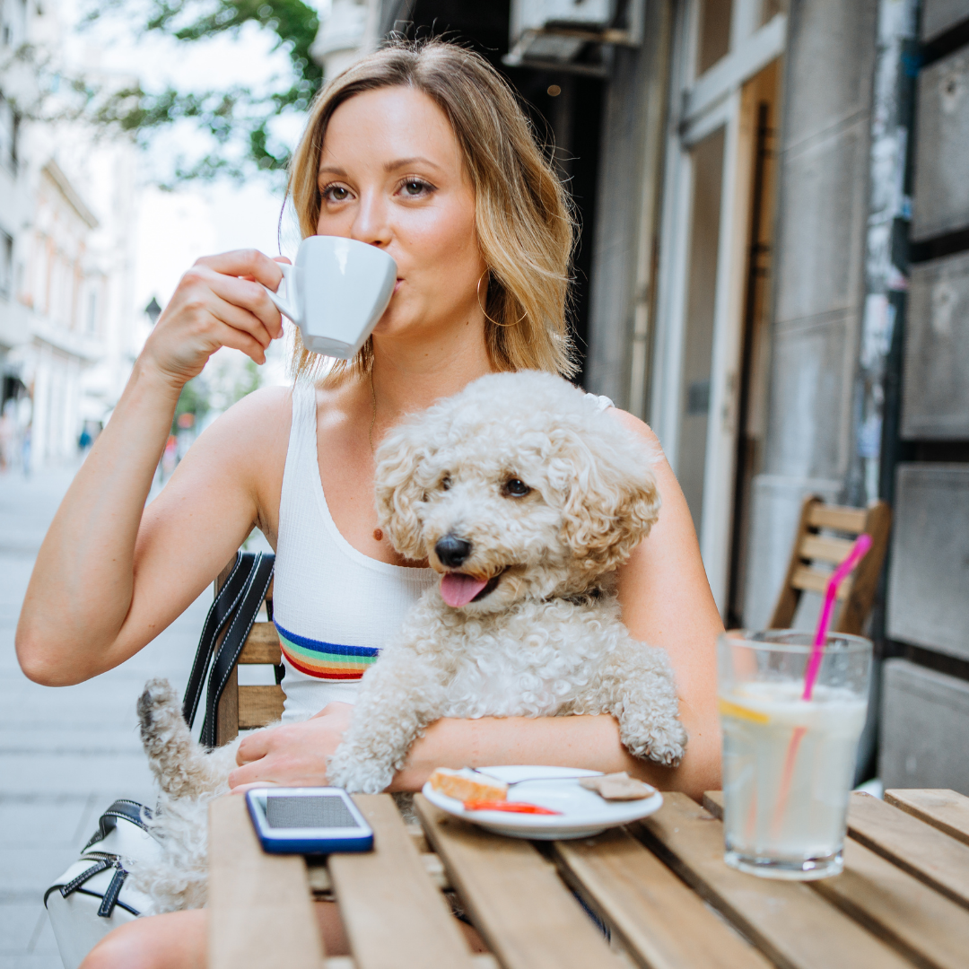 Pet Café – Onde a paixão por animais e o prazer de um bom café se encontram