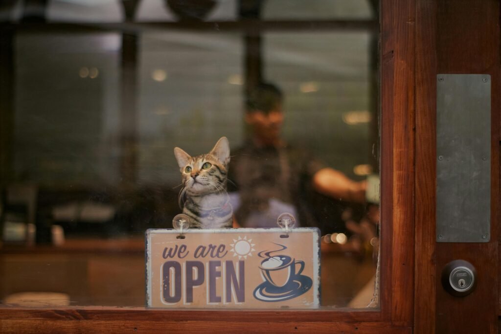 pet café