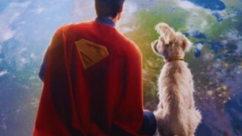 Adoção de Cães: Como o Filme Krypto Aumentou 500% as Buscas por Pets